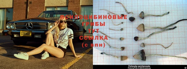 jwh Богданович