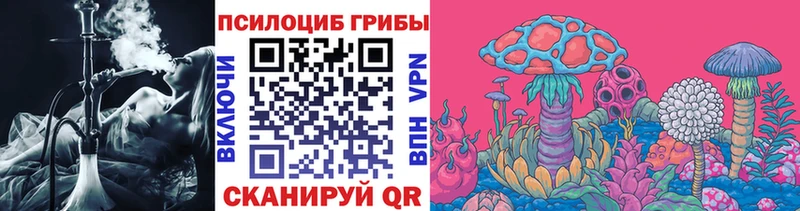Псилоцибиновые грибы MAGIC MUSHROOMS  купить закладку  Сланцы 